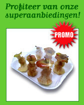 promo